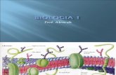 Biologia PPT - Aula 09 Membrana Plasmatica