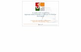 Protocollo Comuni-Agenzia delle Entrate in Emilia-Romagna: risultati a giugno 2015