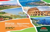 Senior Voyage - Napoli-Sorrento 2015/ 2016