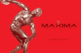 Maxima SpA Company Summary