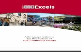 ECC Excels Report