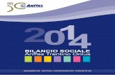Bilancio sociale anffas 2014