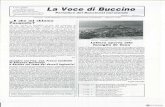 Voce di Buccino 1995 (febbraio)