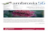 Ambrosia 56 Niaouli