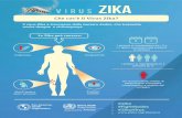 Zika info ita square compressed