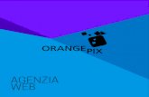 Brochure OrangePix - Web Agency