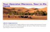 Tour operator marocco, tour in marocco
