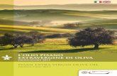 Pisa extra virgin olive oil - Production 2015