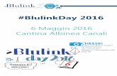 Quality 4.0 - Blulink Day 2016