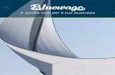 Bluewago | A gonfie vele per il tuo business