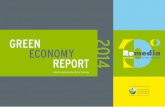 Green Economy Report Remedia