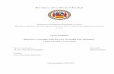 Tesi di Dottorato: Dialettica e ontologia nella dottrina carolingia delle ...