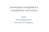 1 dieta-metabolismo-termogenesi.pdf