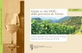 Guida ai vini DOC della provincia di Torino