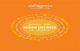 Guida alle Micro Imprese in Italia