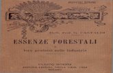 G. Castaldi - Essenze Forestali - Manuale Hoepli - 1923