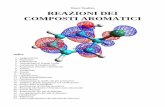 Reazioni dei composti aromatici.pdf