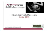 Il Cariotipo Cariotipo Fetale Molecolare Molecolare Il Cariotipo ...
