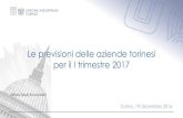Indagine congiunturale industria Torino 2017