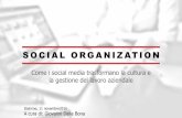 Introduzione alla Social Organization