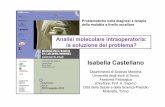 Isabella Castellano - Università degli studi di Torino