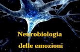 Neurobiologia delle emozioni