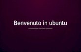 Sistema operativo Ubuntu