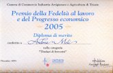 Andrea Meli - Premio CCIAA di Trieste
