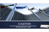 E-Auction - Interreg - Cross-border cooperation