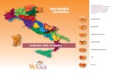 Oncologia Toracica – Indirizzi utili in Italia