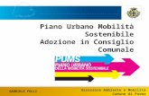PUMS Parma - Adozione del documento di piano in Consiglio Comunale