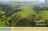 Slide Bioma Pampa