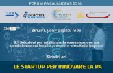Presentazione ZiriZiri - Forum PA call4ideas 2016