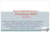 Bronchite Batterica persistente. Livia Pittaluga e Giancarlo Ottoneo