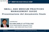 Presentazione IFAC Practice Management Guide