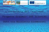 Pesci del Trasimeno - SOS Sciences