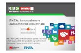 METROFOOD infrastruttura per la sicurezza e la tracciabilità dei prodotti agroalimentari: Dott. Massimo Iannetta (ENEA - Divisione Biotecnologie e Agroindustria SSPT - BIOAG)