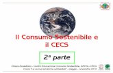 2010: Il Consumo Sostenibile e  il CECS - parte 2
