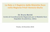 La Rete e il Registro delle Malattie Rare nella Regione Friuli Venezia Giulia