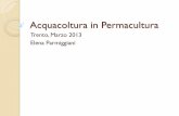 Acquacultura in permacultura