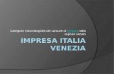Impresa italia venezia