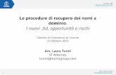 L. Turini - Le procedure di recupero dei nomi a dominio