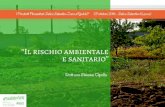 Simona Cipolla - Il Rischio Ambientale e Sanitario