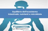 Equilibrio dell'ecosistema intestinale