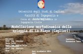 Modellazione morfodinamica della spiaggia di La Playa (Cagliari). Tesi di laurea Magistrale in Ingegneria Civile. Università degli Studi di Cagliari