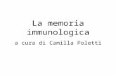 Memoria immunologica