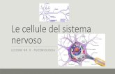 Le cellule nervose.pdf