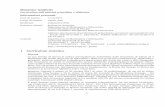 Massimo Giulietti 1 Curriculum sintetico