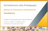 SYNERGY Induction to Pedagogy Programme - Evaluation of the Environment (ITALIAN)