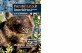 Parchilazio.it: l'orso bruno marsicano